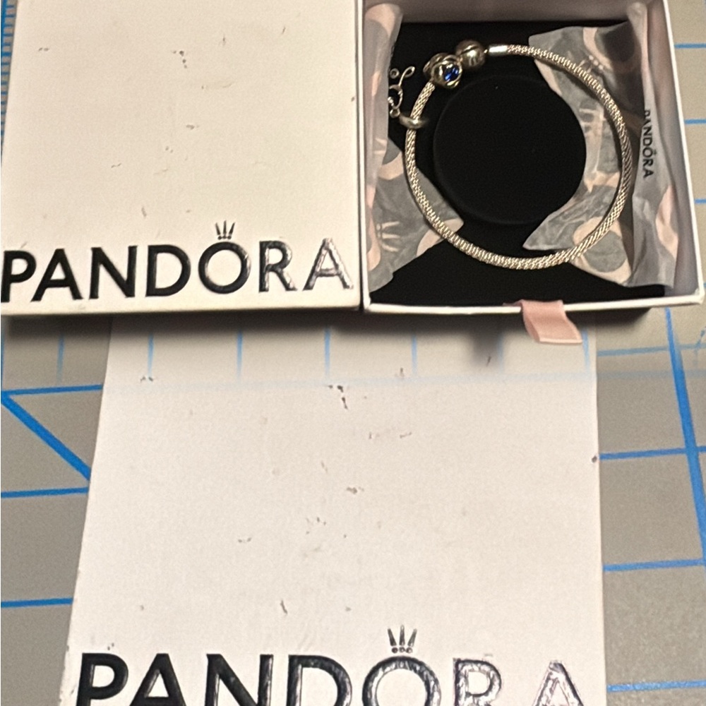 Pandora Sterling Silver Bracelet & 2 Pandora Sterling Silver Charms